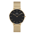 Daniel Wellington Women's Petite Evergold Watch Dw00100349