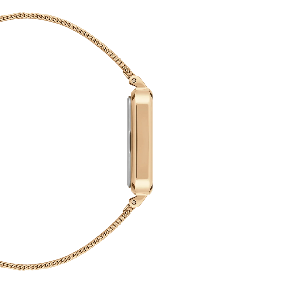 Daniel Wellington Women's Gold Watch DW00100556 – product image 5